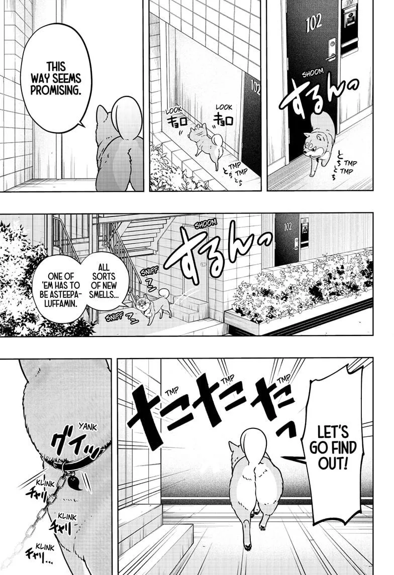 Shiba Inu Rooms Chapter 11 page 12 - 