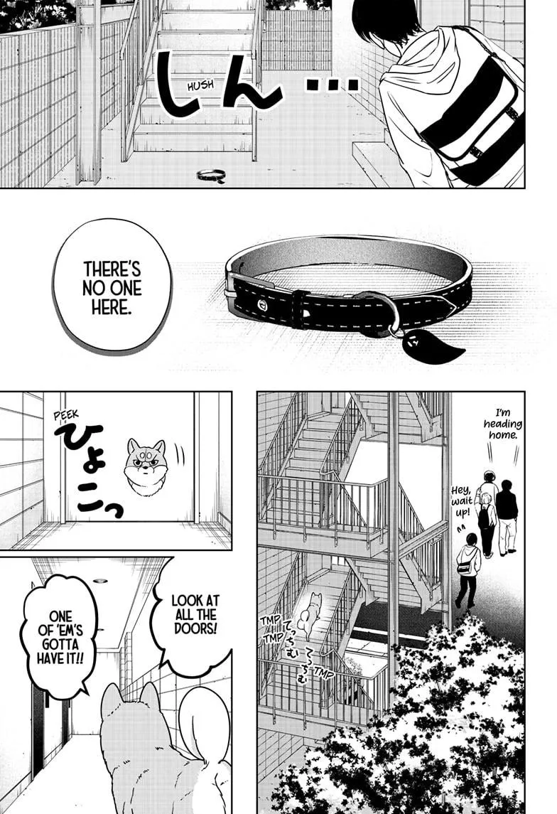 Shiba Inu Rooms Chapter 11 page 14 - 