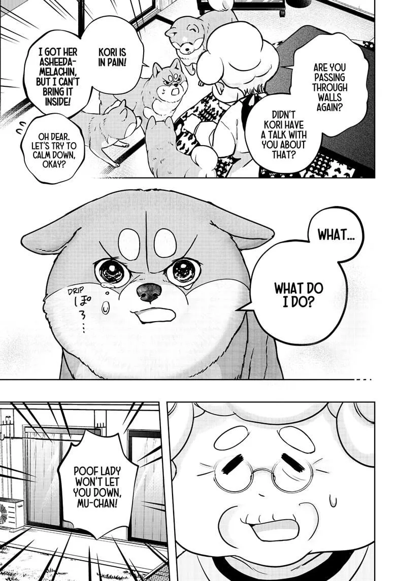 Shiba Inu Rooms Chapter 11 page 22 - 