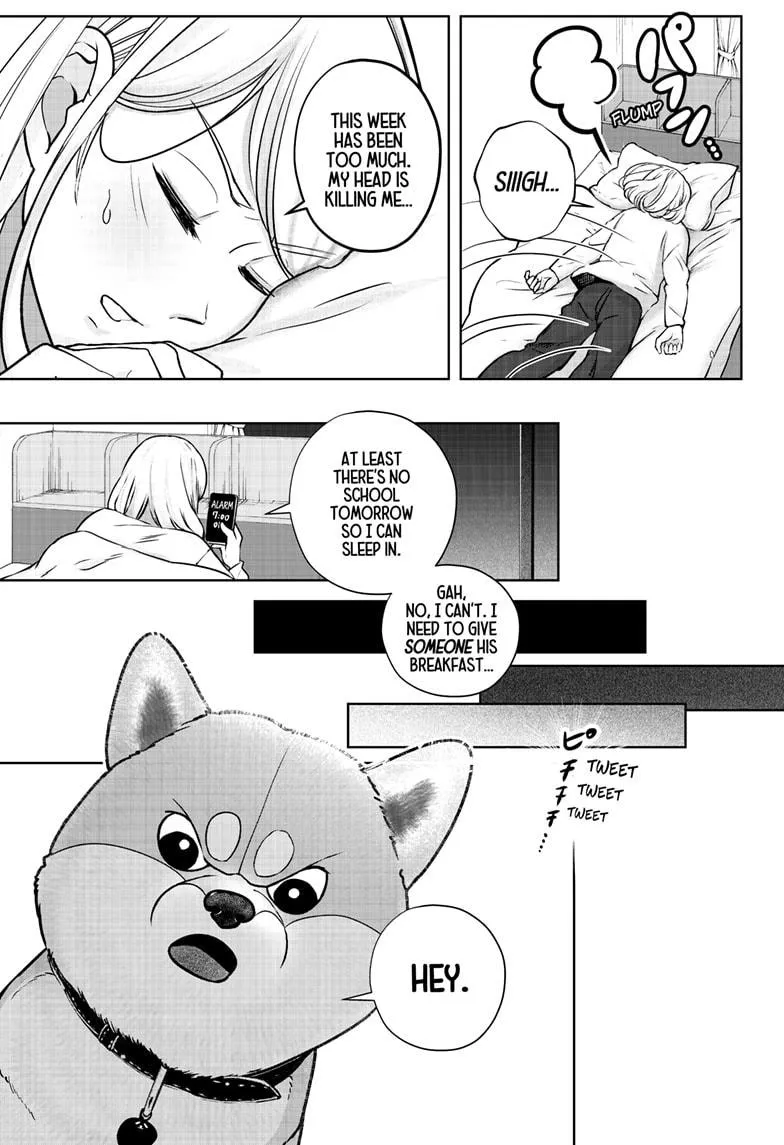 Shiba Inu Rooms Chapter 11 page 4 - 