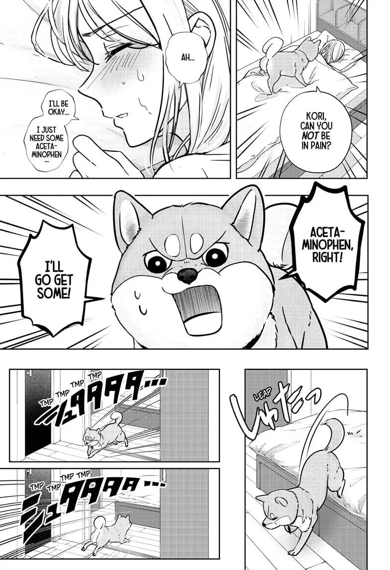 Shiba Inu Rooms Chapter 11 page 6 - 
