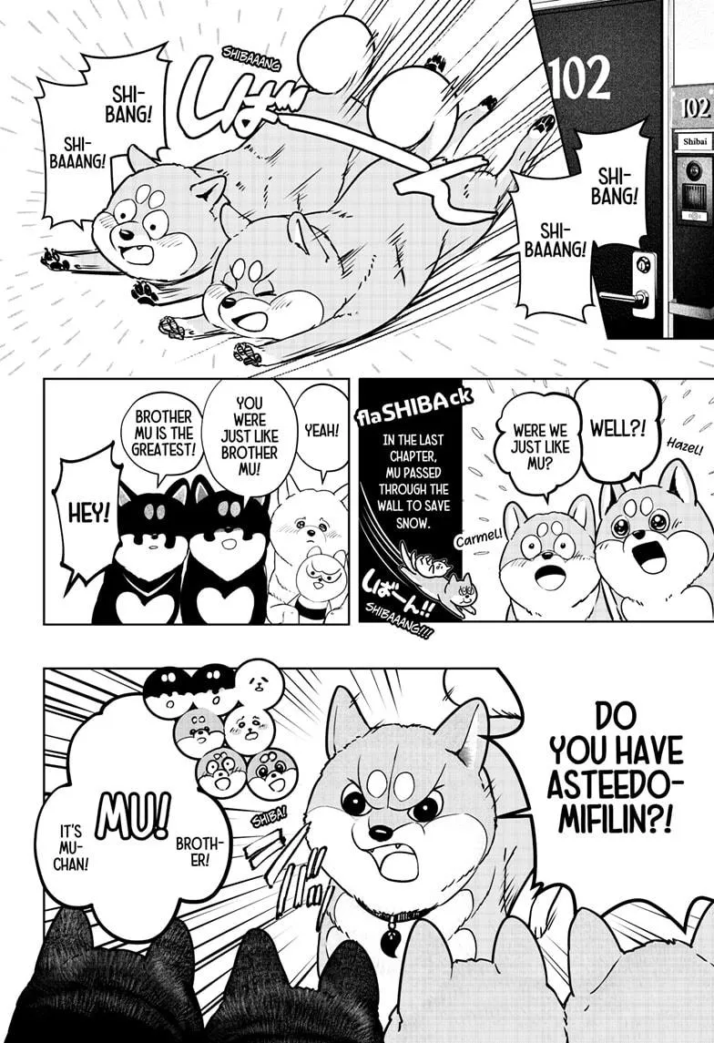 Shiba Inu Rooms Chapter 11 page 9 - 