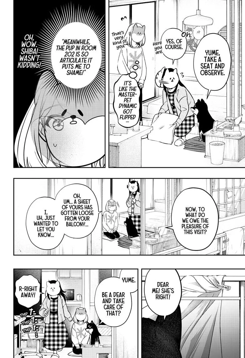Shiba Inu Rooms Chapter 12 page 15 - 