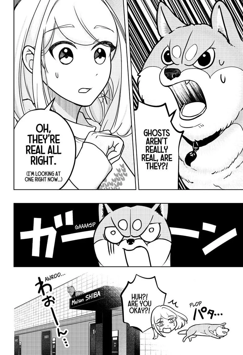 Shiba Inu Rooms Chapter 12 page 5 - 