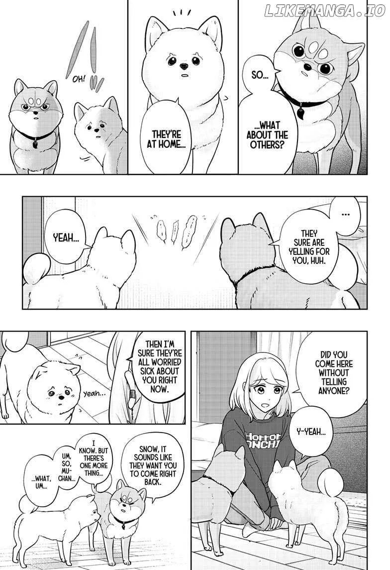 Shiba Inu Rooms Chapter 17 page 21 - 