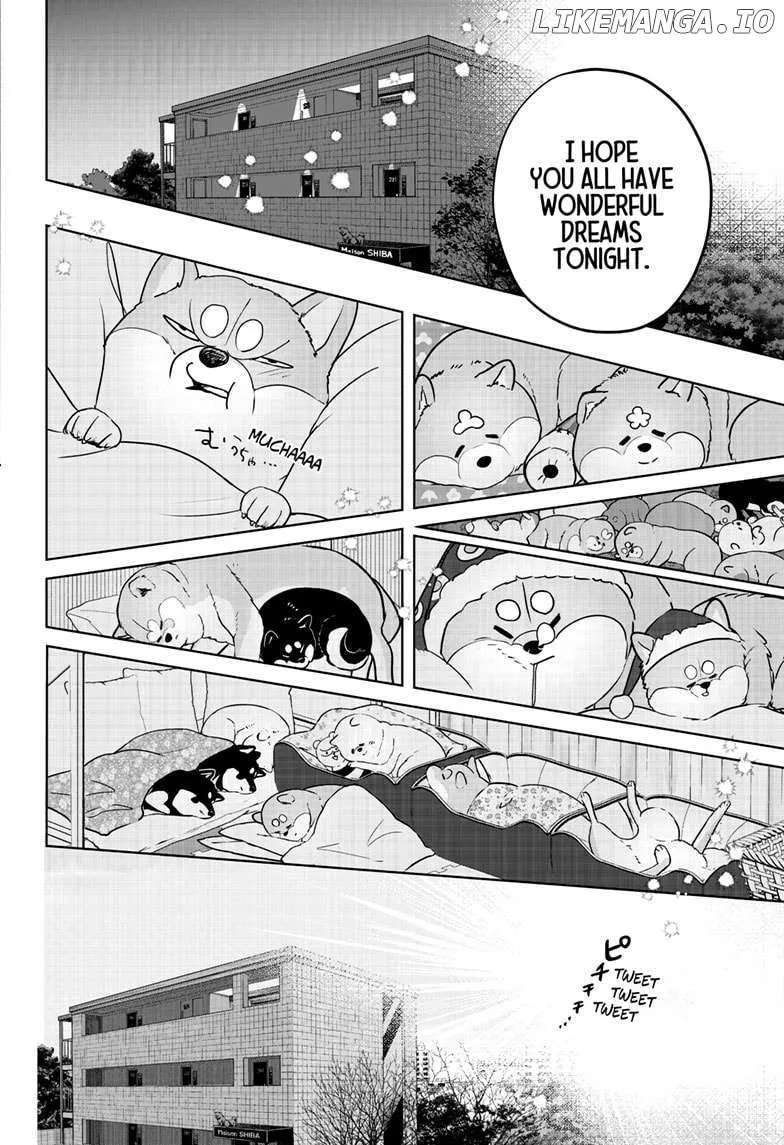 Shiba Inu Rooms Chapter 17 page 6 - 