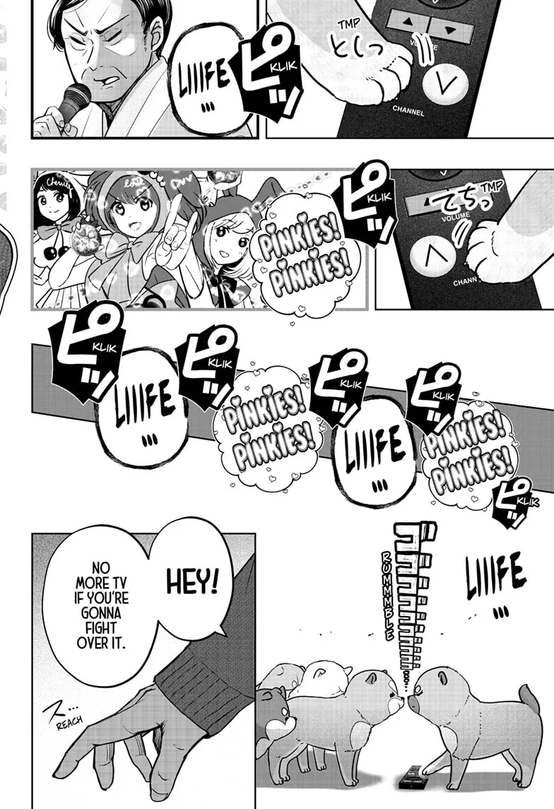 Shiba Inu Rooms Chapter 18 page 7 - 