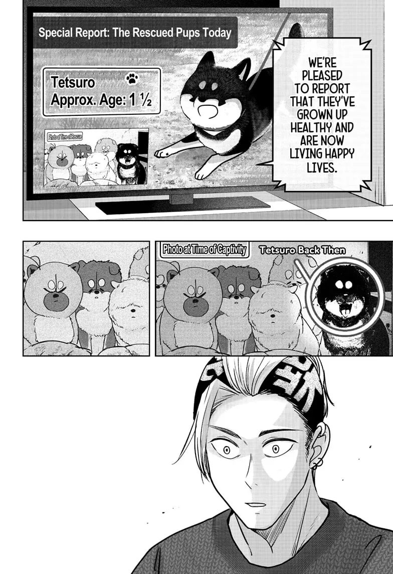 Shiba Inu Rooms Chapter 18 page 9 - 