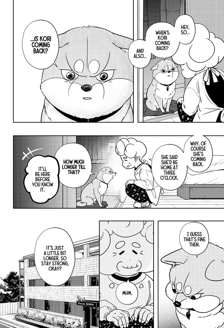 Shiba Inu Rooms Chapter 19 page 12 - 