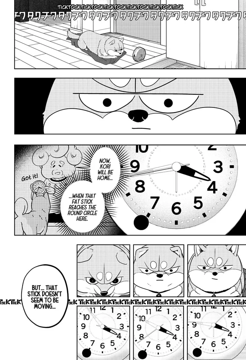 Shiba Inu Rooms Chapter 19 page 18 - 