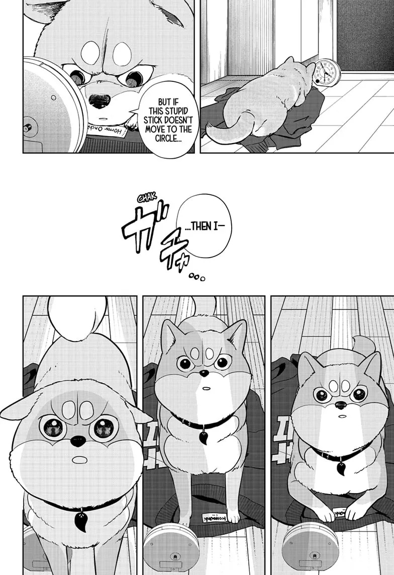 Shiba Inu Rooms Chapter 19 page 20 - 