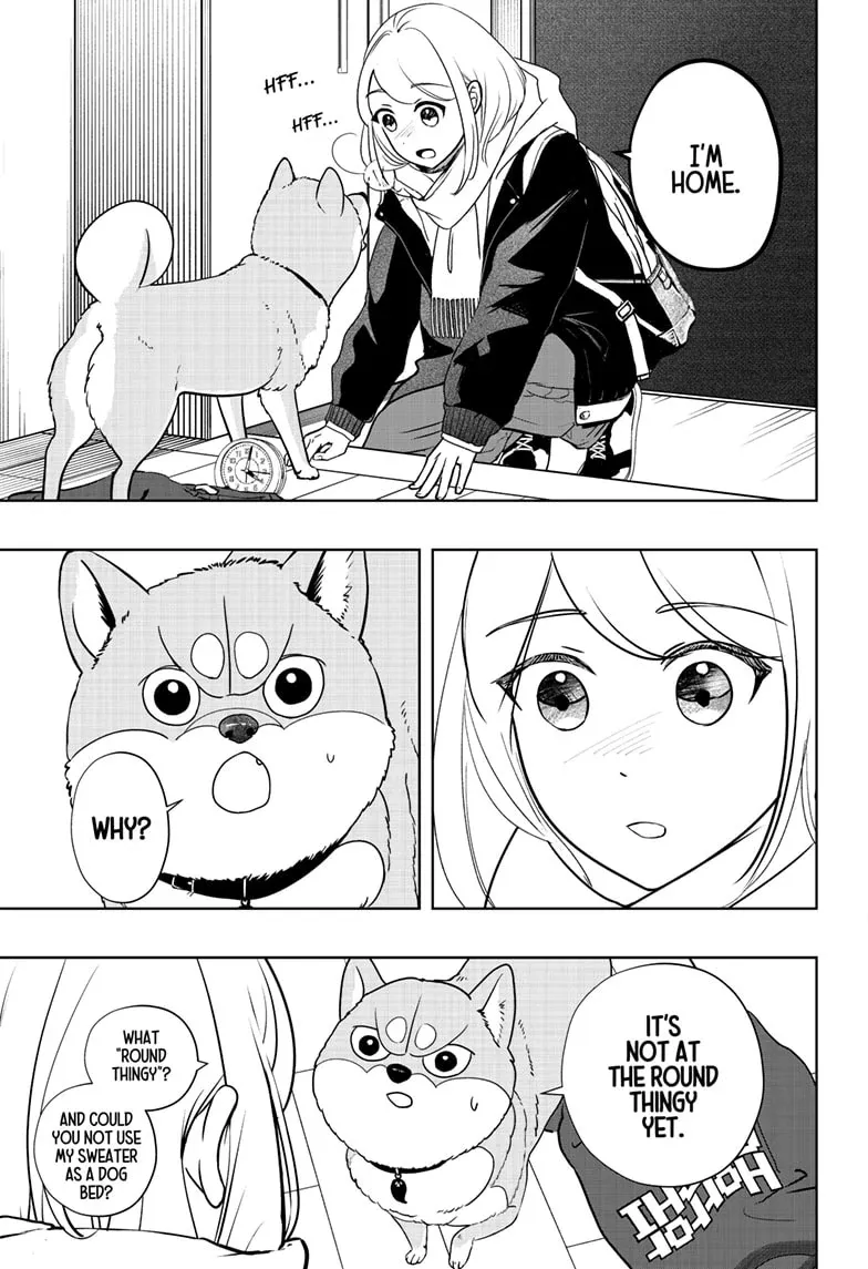 Shiba Inu Rooms Chapter 19 page 21 - 