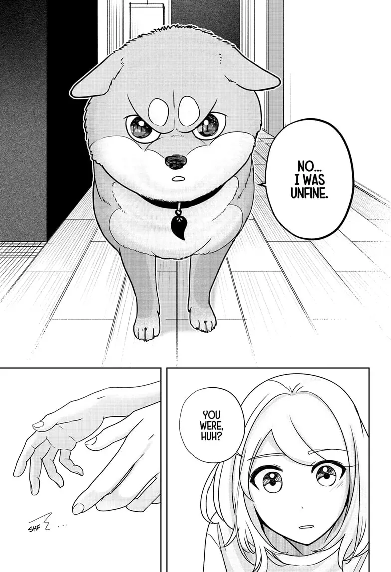 Shiba Inu Rooms Chapter 19 page 25 - 