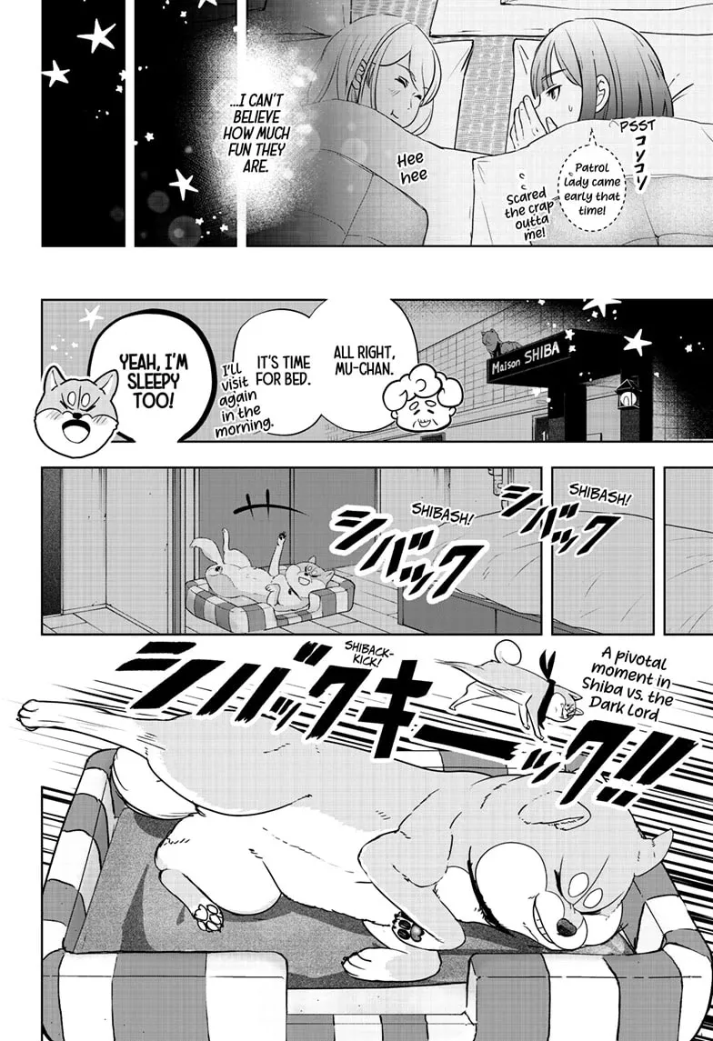 Shiba Inu Rooms Chapter 19 page 8 - 