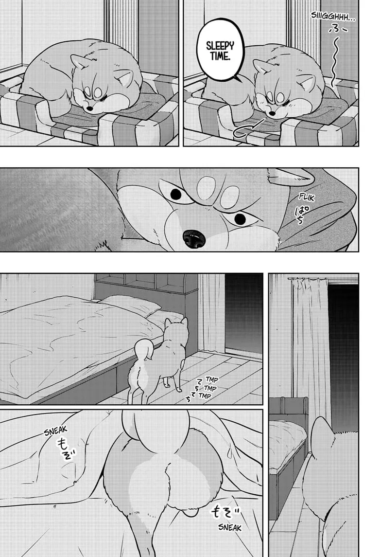 Shiba Inu Rooms Chapter 19 page 9 - 