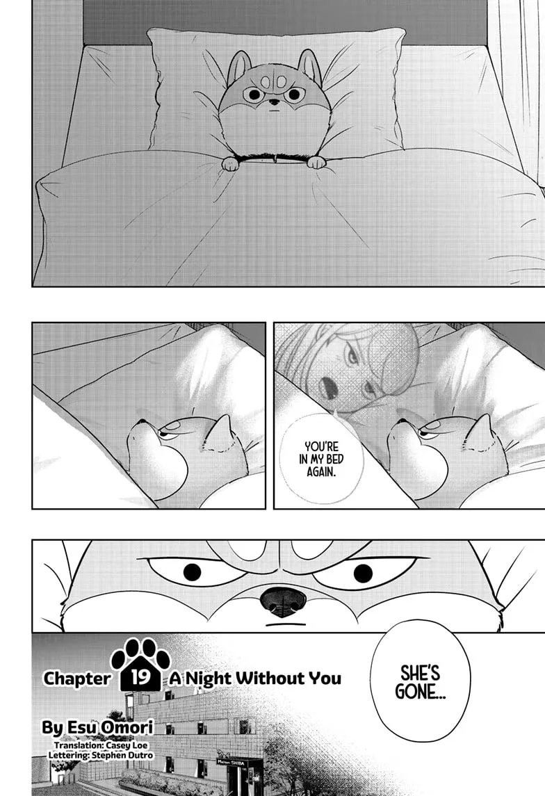 Shiba Inu Rooms Chapter 19 page 10 - 
