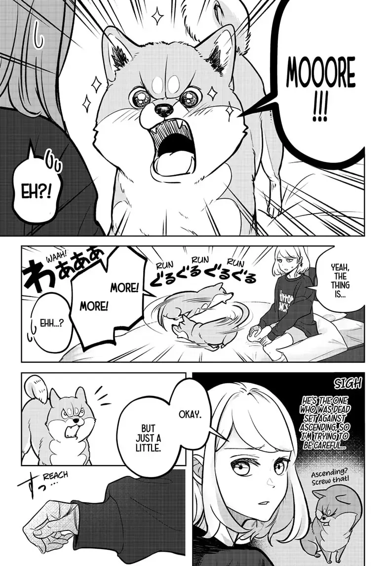 Shiba Inu Rooms Chapter 2 page 11 - 