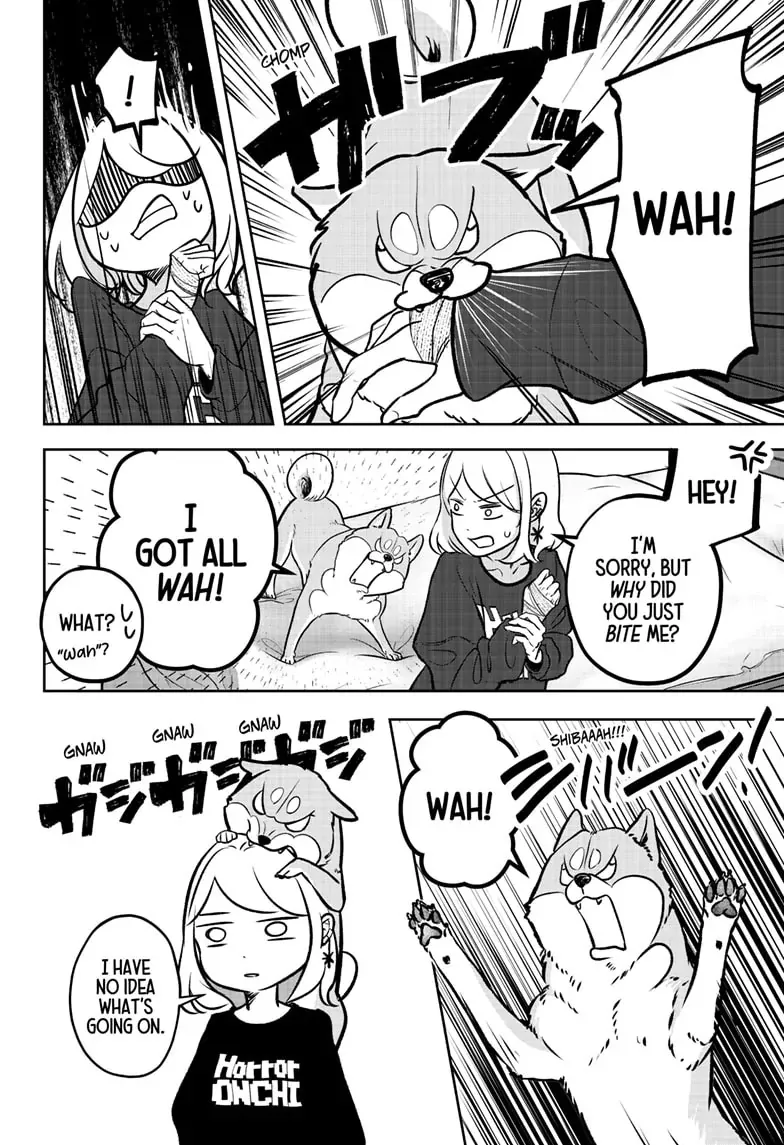 Shiba Inu Rooms Chapter 2 page 12 - 
