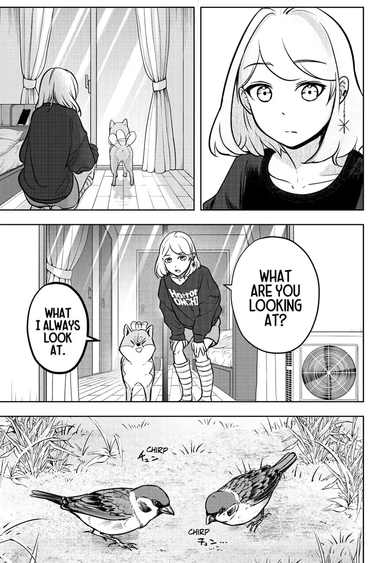 Shiba Inu Rooms Chapter 2 page 17 - 