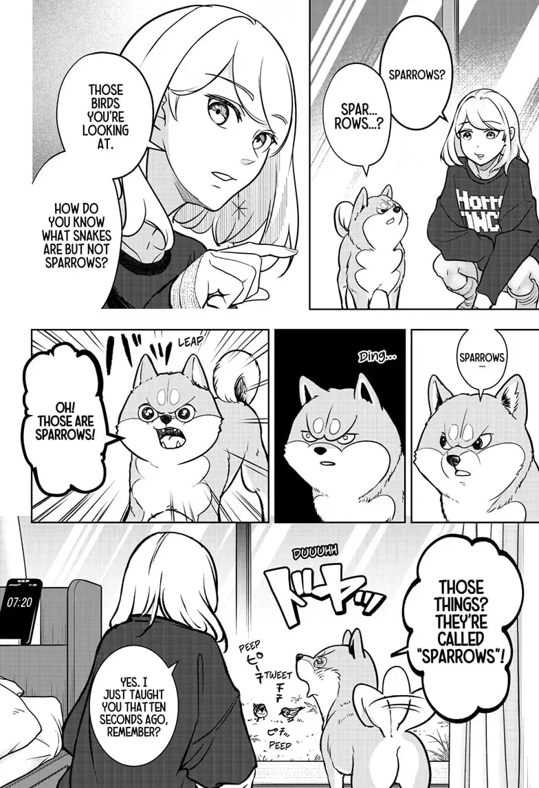 Shiba Inu Rooms Chapter 2 page 18 - 
