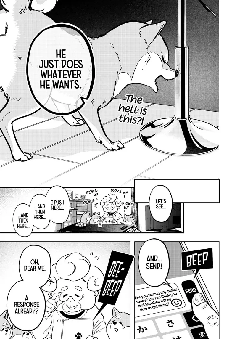 Shiba Inu Rooms Chapter 2 page 23 - 