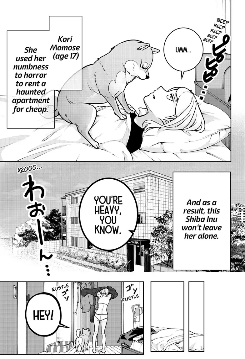 Shiba Inu Rooms Chapter 2 page 5 - 