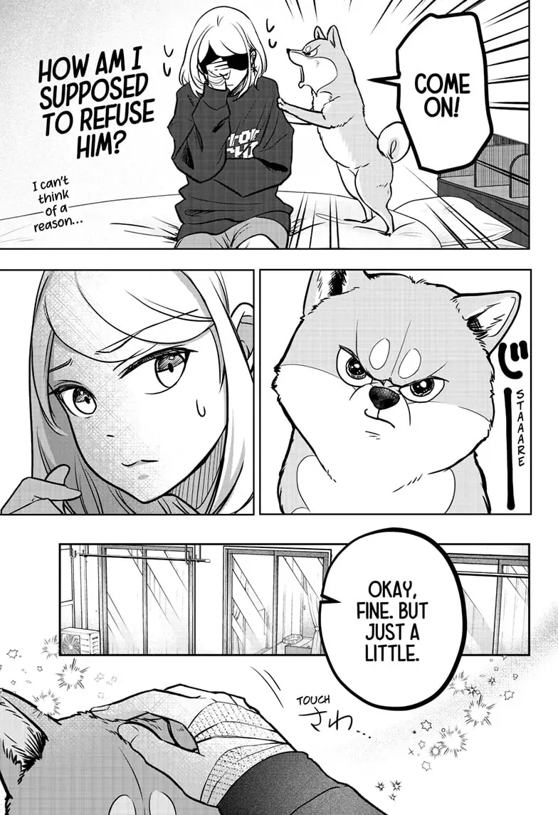 Shiba Inu Rooms Chapter 2 page 9 - 