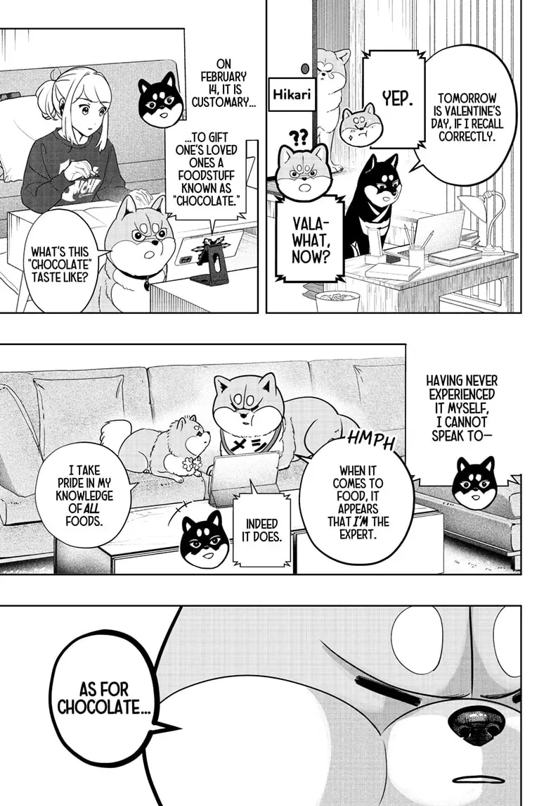 Shiba Inu Rooms Chapter 20 page 4 - 