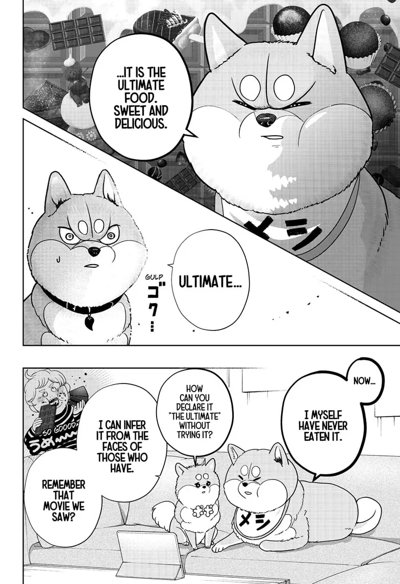 Shiba Inu Rooms Chapter 20 page 5 - 