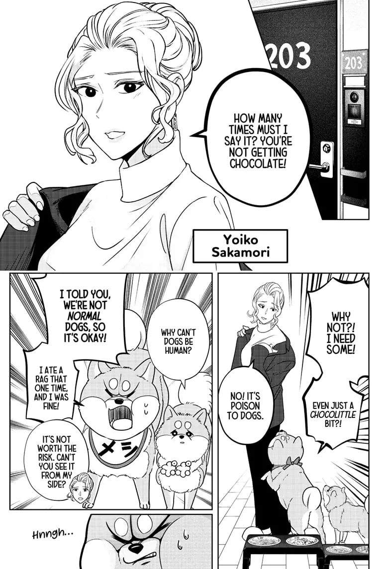 Shiba Inu Rooms Chapter 20 page 8 - 