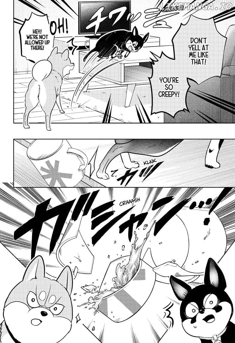 Shiba Inu Rooms Chapter 21 page 13 - 