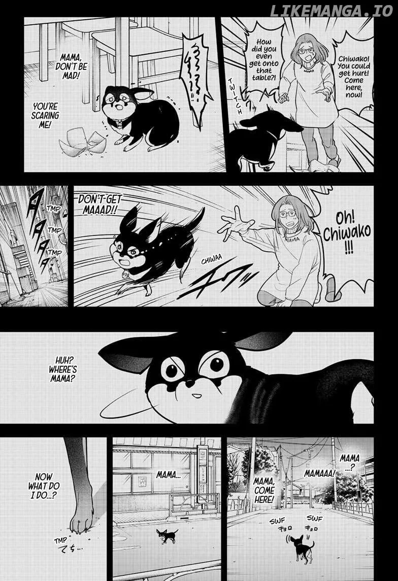 Shiba Inu Rooms Chapter 21 page 16 - 