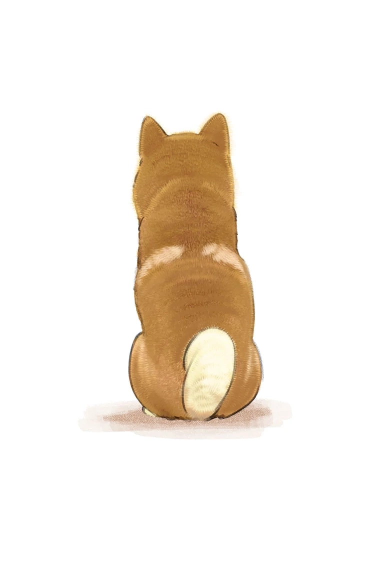 Shiba Inu Rooms Chapter 22.1 page 8 - 