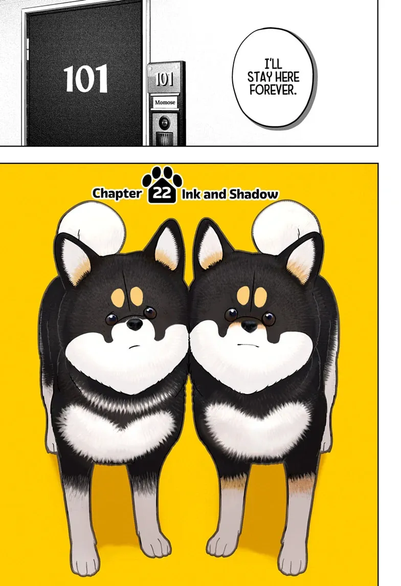 Shiba Inu Rooms Chapter 22 page 11 - 