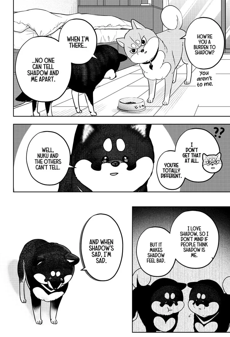 Shiba Inu Rooms Chapter 22 page 20 - 