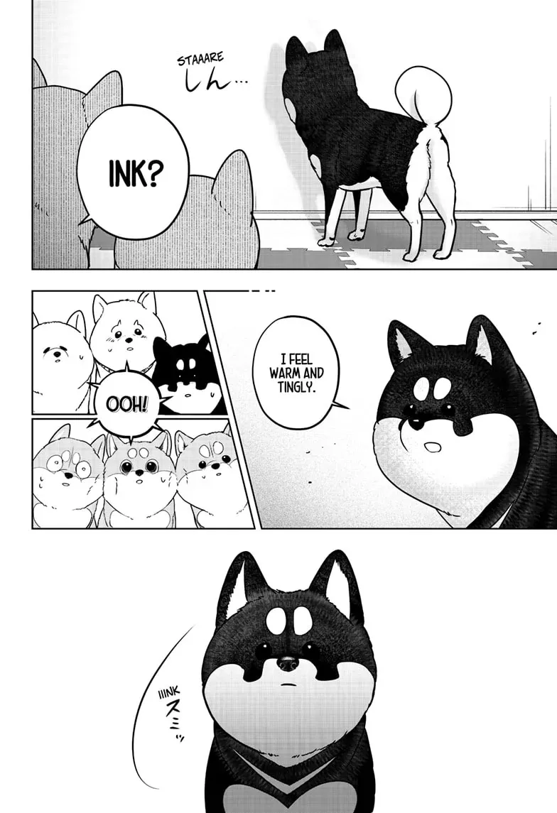 Shiba Inu Rooms Chapter 22 page 6 - 
