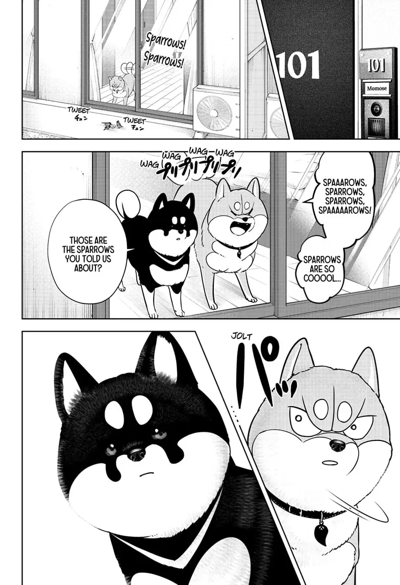 Shiba Inu Rooms Chapter 22 page 8 - 