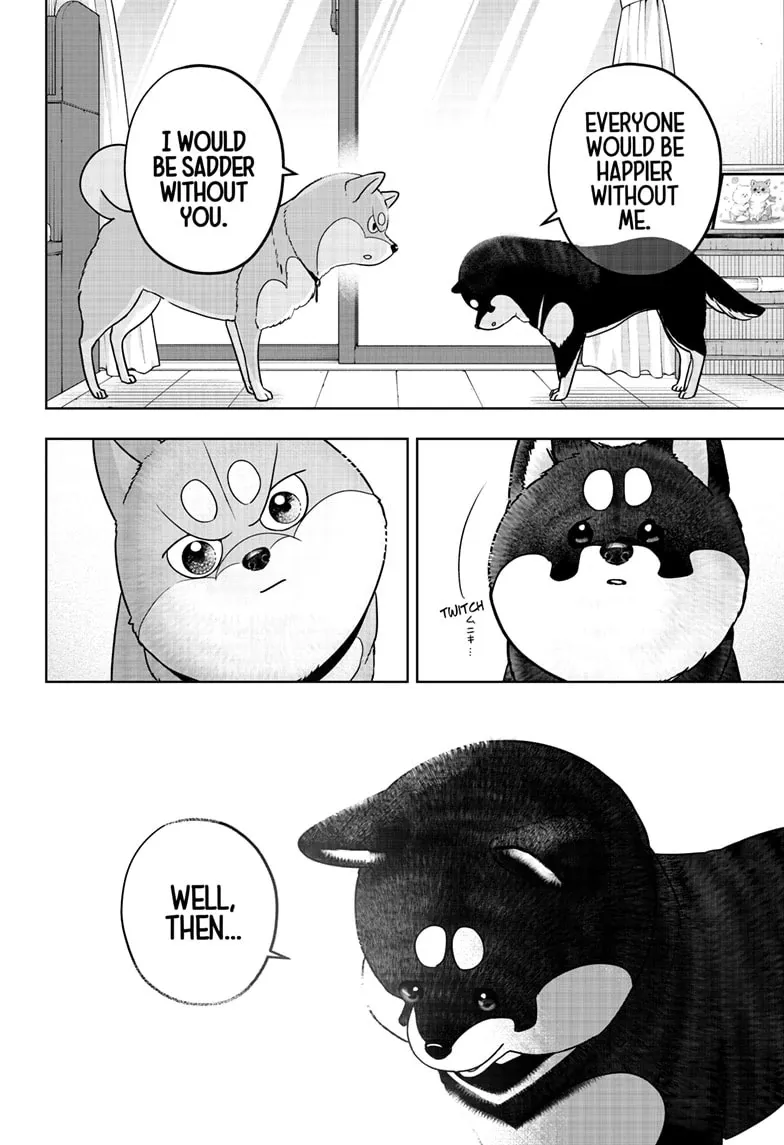 Shiba Inu Rooms Chapter 22 page 10 - 