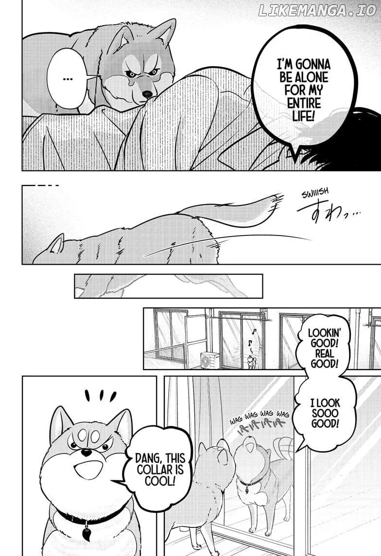 Shiba Inu Rooms Chapter 23 page 13 - 