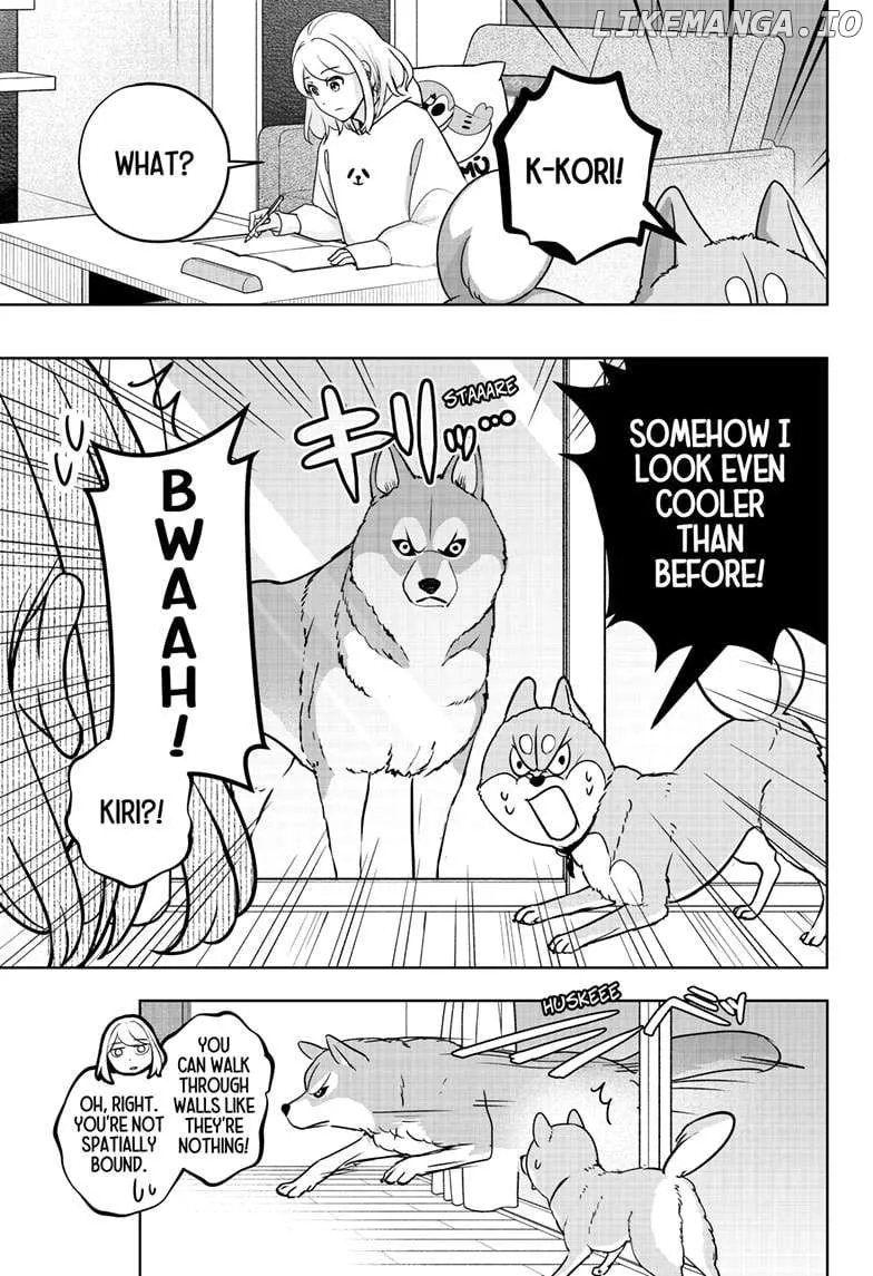 Shiba Inu Rooms Chapter 23 page 14 - 