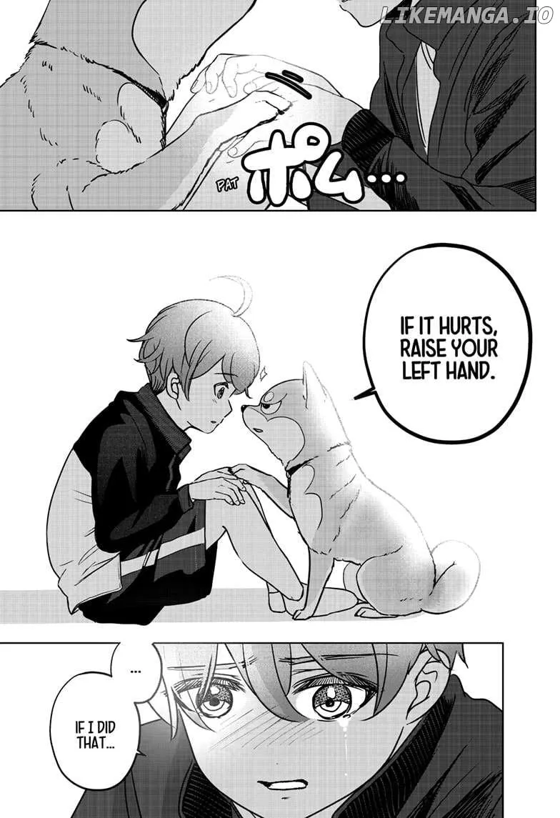 Shiba Inu Rooms Chapter 28 page 18 - 