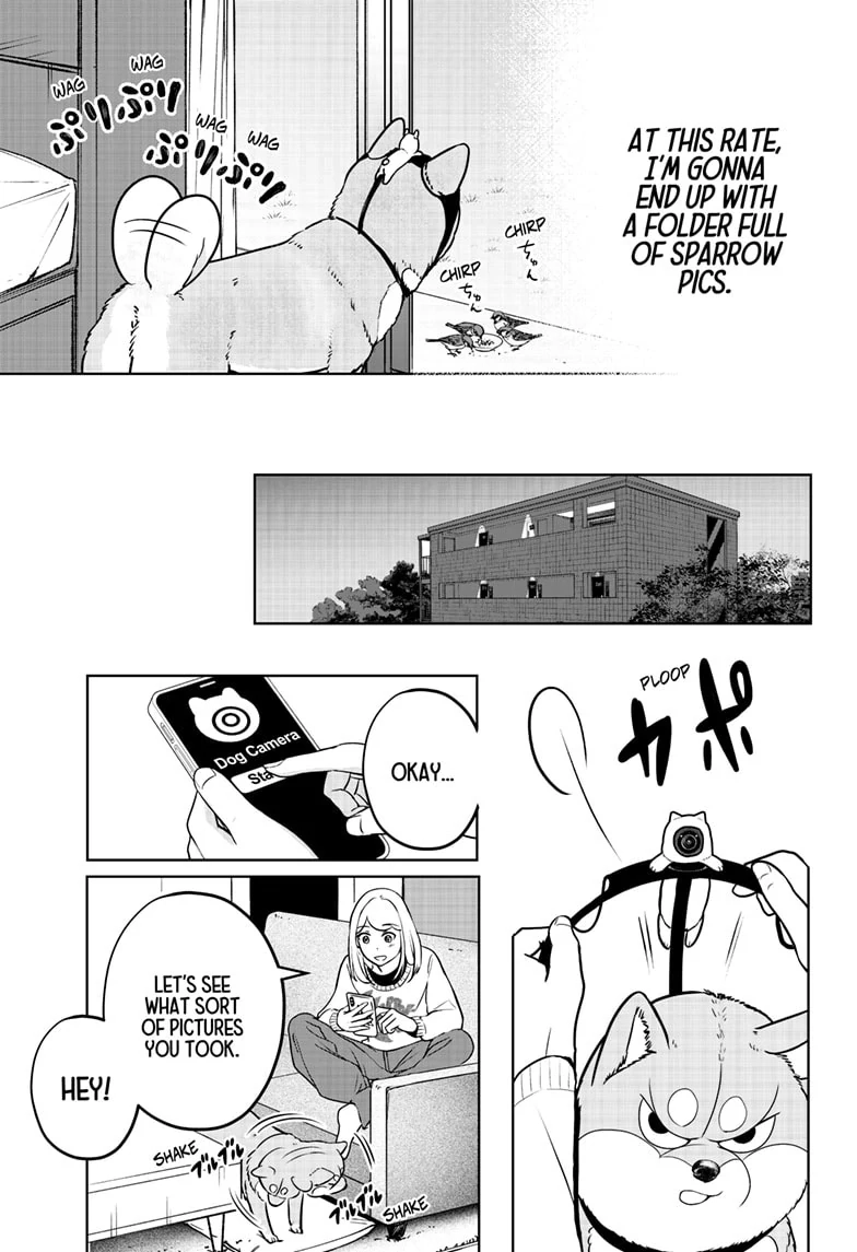 Shiba Inu Rooms Chapter 29.1 page 3 - 
