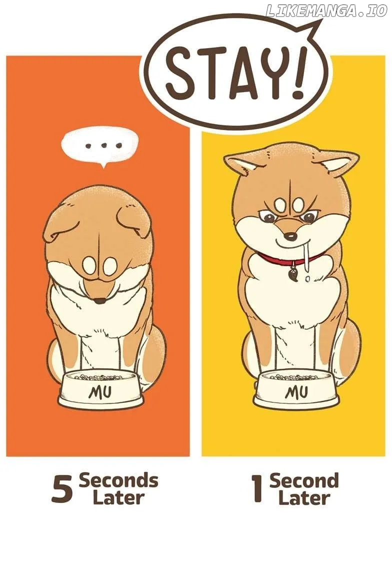 Shiba Inu Rooms Chapter 29.5 page 8 - 
