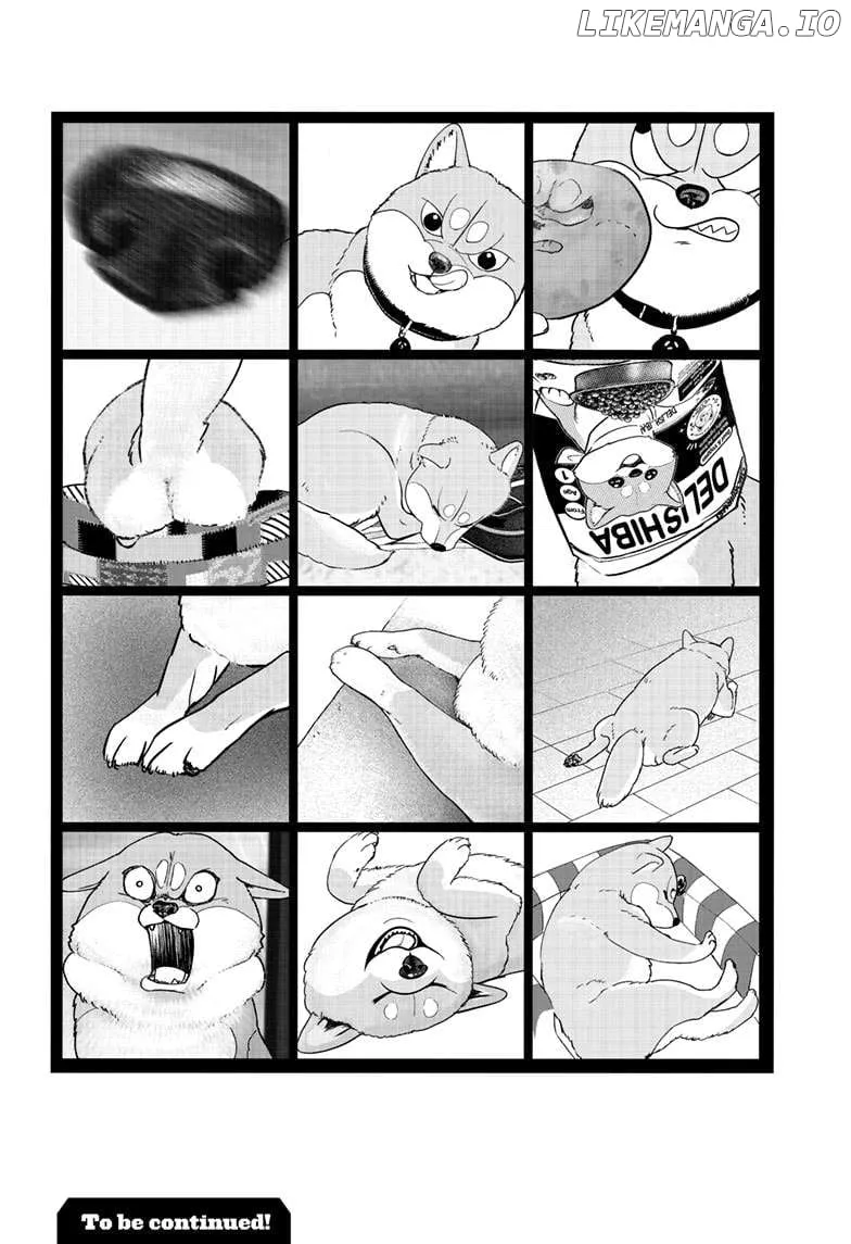 Shiba Inu Rooms Chapter 29.5 page 10 - 