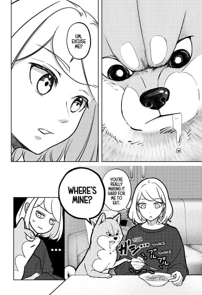 Shiba Inu Rooms Chapter 3 page 2 - 