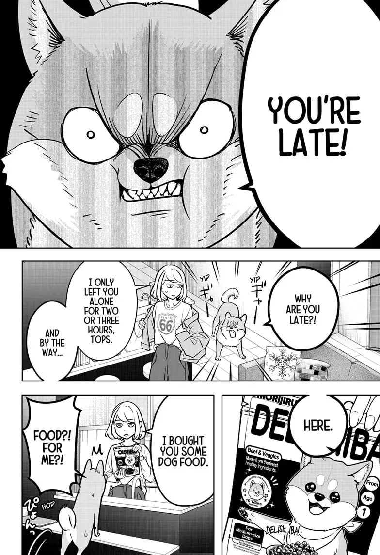 Shiba Inu Rooms Chapter 3 page 17 - 