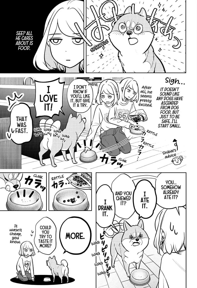 Shiba Inu Rooms Chapter 3 page 18 - 