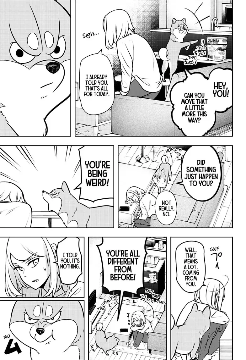 Shiba Inu Rooms Chapter 3 page 22 - 