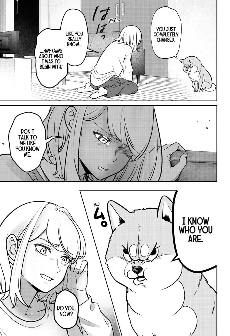 Shiba Inu Rooms Chapter 3 page 24 - 