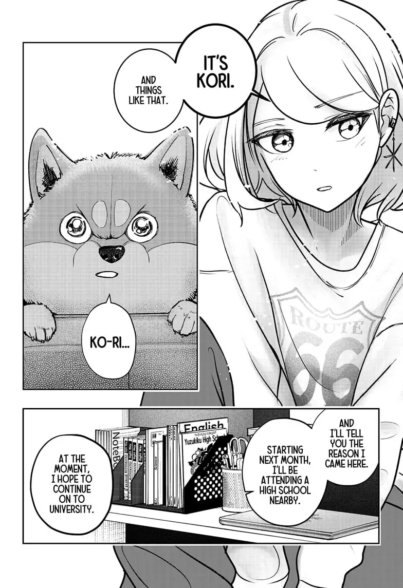 Shiba Inu Rooms Chapter 3 page 31 - 